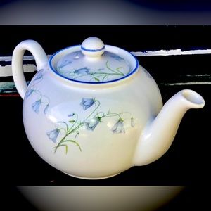 Vintage Floral Pattern Striped Rim Handled Lidded PRISTINE ENGLAND TEAPOT